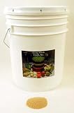 Organic Amaranth Seeds - 35 Lbs - Grain Seed In Resealable Bucket - Perfect for Sprouting Sprouts, Cooking, Grinding For Flour, Soup, Toasting, Food Storage & More.
