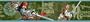 Blue Mountain Wallcoverings DS026422 Pirates Self-Stick Wall Border