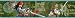 Pirates of the Caribbean - Kids Movie Wallpaper Border