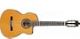 Ibanez G5ECE-AM Guitare de concert - Finition Ambre brillant (Import Allemagne)