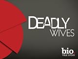 Deadly Wives Season 1