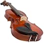 Molinari 4/4 Size Student Violin Outfit (Wood Bow, Canvas Case)