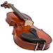 Molinari 4/4 Size Student Violin Outfit (Wood Bow, Canvas Case)
