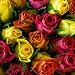 rose essential oil