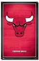 BULLS - LOGO WALL POSTER