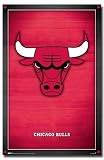 CHICAGO BULLS TEAM LOGO NBA WALL POSTER 22.5x34 #4406
