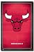 CHICAGO BULLS TEAM LOGO NBA WALL POSTER 22.5x34 #4406