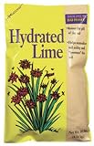 Hydrated Lime - 979 - Bci