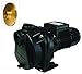 BURCAM 700518Z 2 HP Heavy Duty Cast Iron Sprinkler Pump, Black