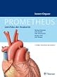PROMETHEUS LernAtlas der Anatomie: Innere Organe