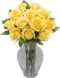 One Dozen Yellow Roses without Vase