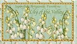 Saponificio Artigianale Fiorentino Lily Of The Valley Single Soap Bar 10.5 Oz. From Italy