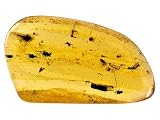 MM VARIES SMALL FREE FORM COPAL FROM COLOMBIA