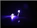 Esonstyle 10 Pair LED Earrings Glowing Light up Ear Drop Pendant Stud Stainless Multi-color