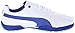 PUMA Titantour V2 Junior Skate Shoe (Little Kid/Big Kid)