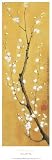 Cherry Blossom Art Poster Print by Suzanna Mah Fong, 12x36