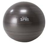 SPRI(�X�v���C) �G�N�T�T�C�Y�{�[�� Pro�v���X55cm �X���[�g SXBPP55 Slate