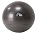 SPRI(�X�v���C) �G�N�T�T�C�Y�{�[�� Pro�v���X55cm �X���[�g SXBPP55 Slate
