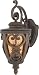 Quoizel French Quarter 2-Light Outdoor Wall Fixture, Antique Brown FQ8310AW01