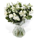 Review Flowers Direct  / Pure and Simple white handtied - Send Sympathy Bouquet of Fresh Flowers