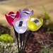 Flower Glows 4 Pack Assorted Colours