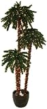 Good Tidings 96724 Palm Tree, 7-Foot