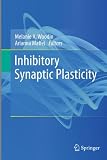 Inhibitory Synaptic Plasticity