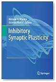 Inhibitory Synaptic Plasticity