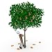 Wallmonkeys Peel and Stick Wall Decals - Dollar Tree - Removable Graphic