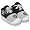 Oakland Raiders