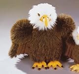 Bald Eagle 14" by Leosco