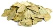 McCormick Bay Leaves (no Msg), 8-Ounce Plastic Bottle (Pack of 3)