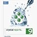 Software : Crystal Reports 9.0 Developer 5 User Upgrade