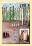 12 X 18 Stretched Canvas Poster Asparagus