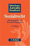 M�nchener Anwaltshandbuch - Sozialrecht