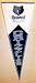 Memphis Grizzlies NBA Classic Collection Pennant from Winning Streak Sports