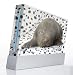 Pebble Entertainment Dalmation Graphic Skin (Wii)