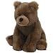 Ty Classic Plush - Woodson the Bear
