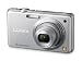 Panasonic LUMIX DMC-FS10EG-S Digitalkamera (12 Megapixel, 5-fach opt. Zoom, 6,86 cm Display, Bildstabilisator) silber