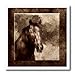 Doreen Erhardt Horses - Ranch Horse - 8x8 Iron on Heat Transfer for White Material (ht_12022_1)