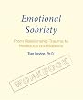 Emotional Sobriety Workbook: From Relationship Trauma to Resilience and Balance