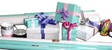 The Gift Wrap Company Solidly Chic Gift Wrap and Ribbon Ensemble