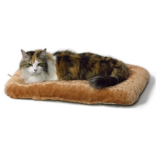 Childrens Toyshop  Pet Supplies : Chenille Bed For Cat Playpen