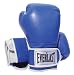 Sports : Everlast Kinder Boxhandschuh 2208Y Velcro Pro Style Trng Gloves (Youth), 8oz, blue