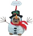Zelda Wisdom - There's 'Snow' Friend Like You! Ornament