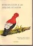 Introduccion a las aves del Ecuador (Spanish Edition)