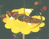Nature Products 1001 Flutterby Original Butterfly Feeder