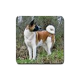 Akita Rubber Square Coaster (4 pack)