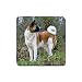 Akita Rubber Square Coaster (4 pack)