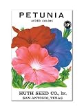 Petunia Seed Packet Artwork Fridge Magnet